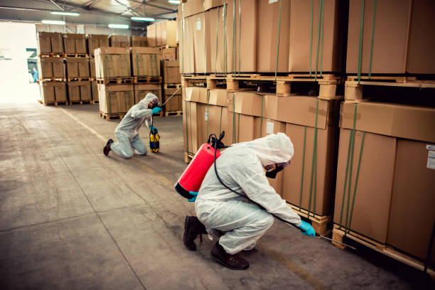 Best Mosquito Control Services  in Lehighton, PA
