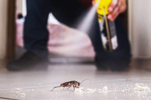 Trusted Lehighton, PA Pest Control Experts
